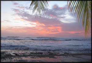 Playa Avellanas