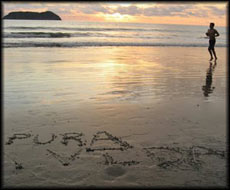 Surf