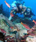 Underwater Diving