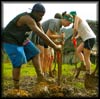 Service Project