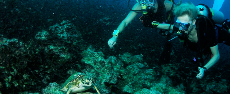 Underwater1_Sized