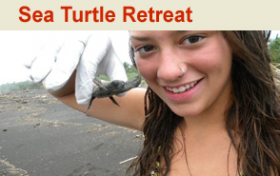 Sea Turtle Retreat