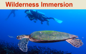wildernessImmersion