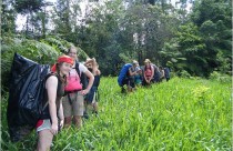 grass hike