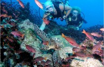 scuba 1