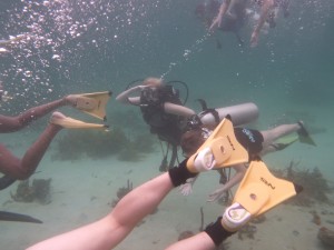 Look at our Underwater Explorers go!