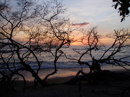 Playa Avellanas