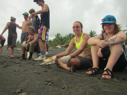 Volunteering with sea turtles at Playa Tulín