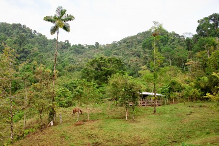 The remote region of Piedras Blancas, where students will be hiking through and doing their "solos"