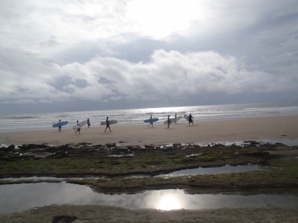 Let's Get our Surf On!