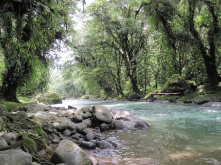 The Pejibaye River
