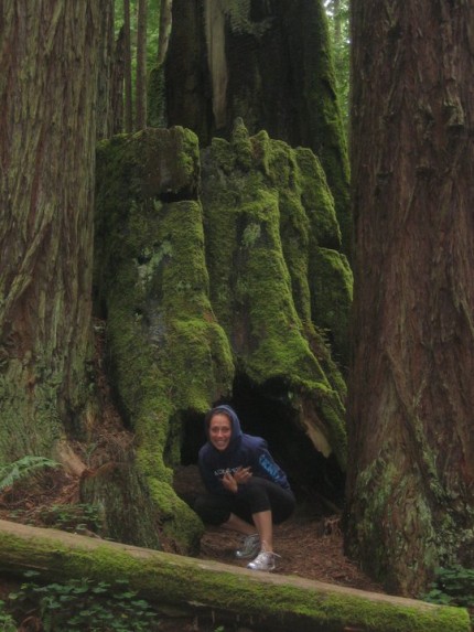 Michelle explores some redwoods in California!