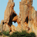 heart_nature (1)